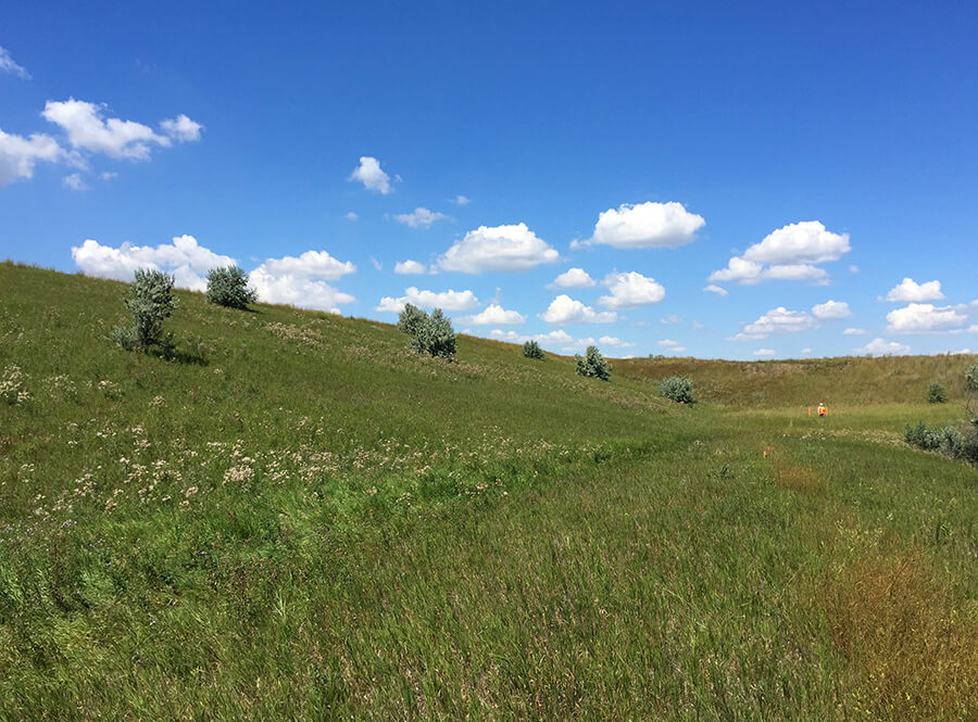 Groundwater monitoring at Heskett Station’s coal ash landfill.