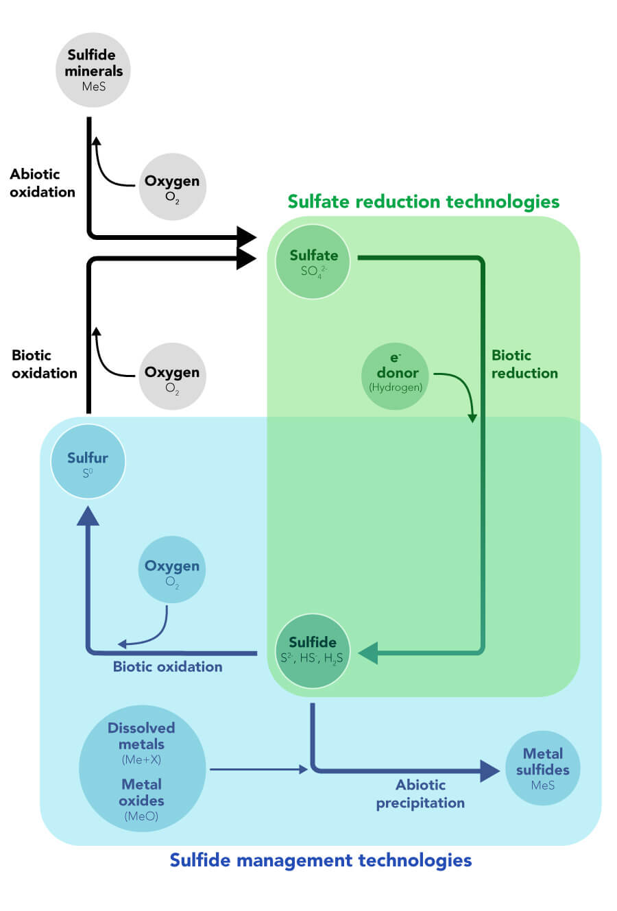 Figure shows the sulfur cycle as relevant to biological sulfate treatment in water. 