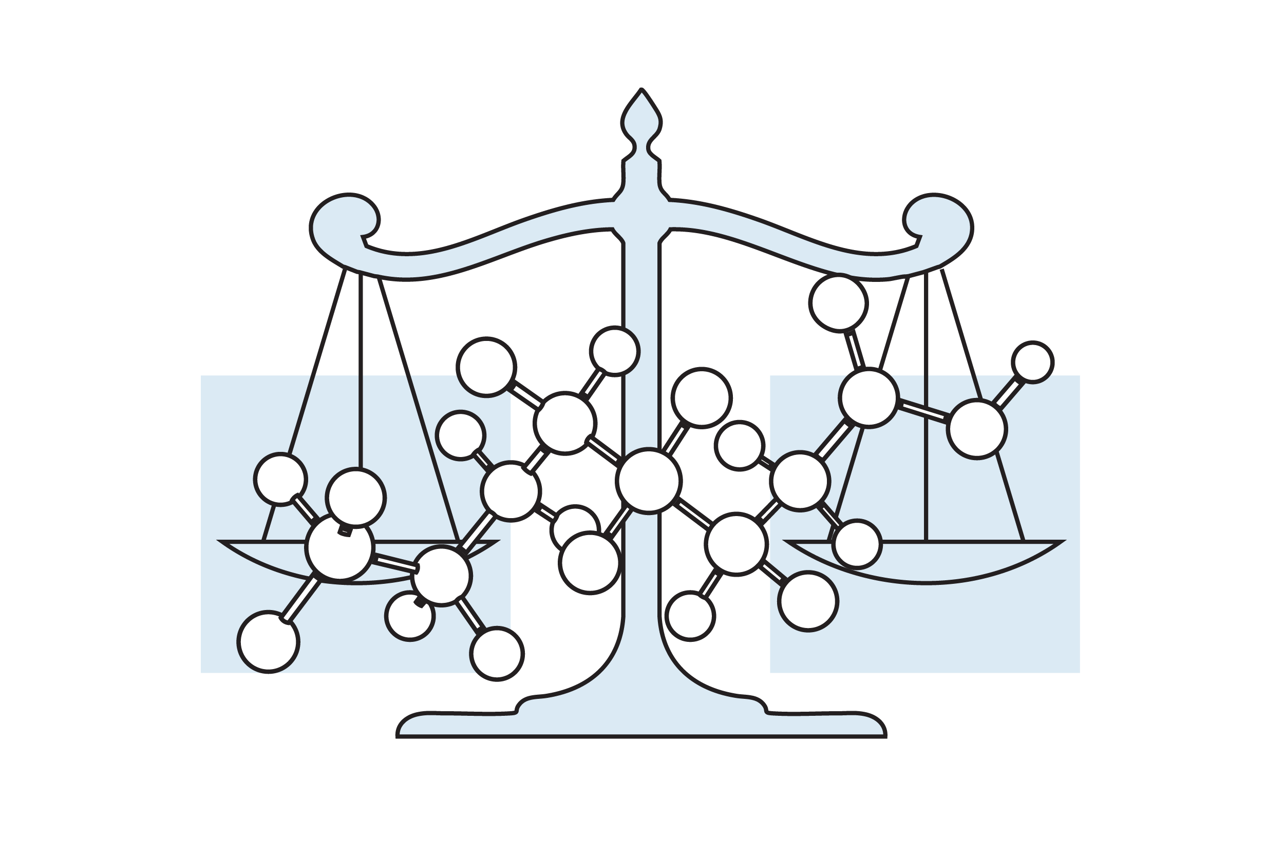 Litigation support