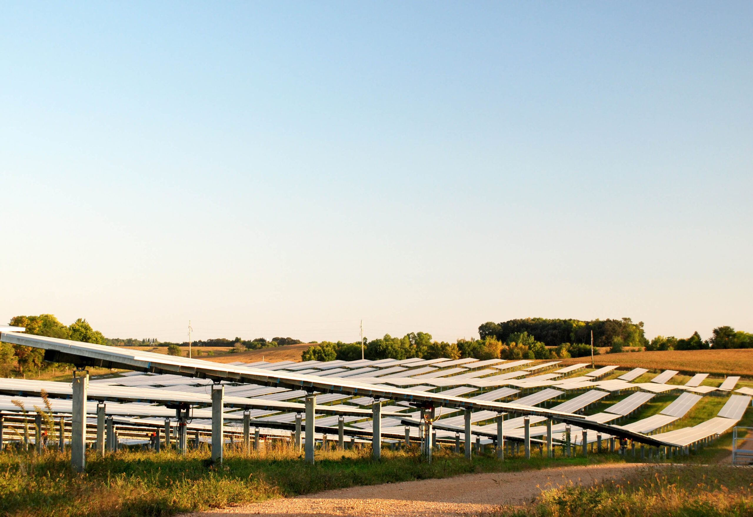 Rows of solar panels on a sunny day with a clear blue sky