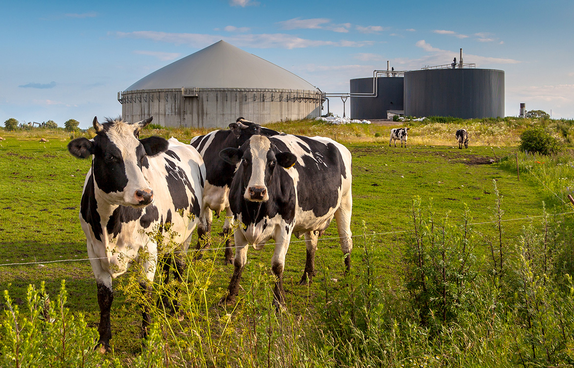 Six reasons to add RNG to your energy portfolio