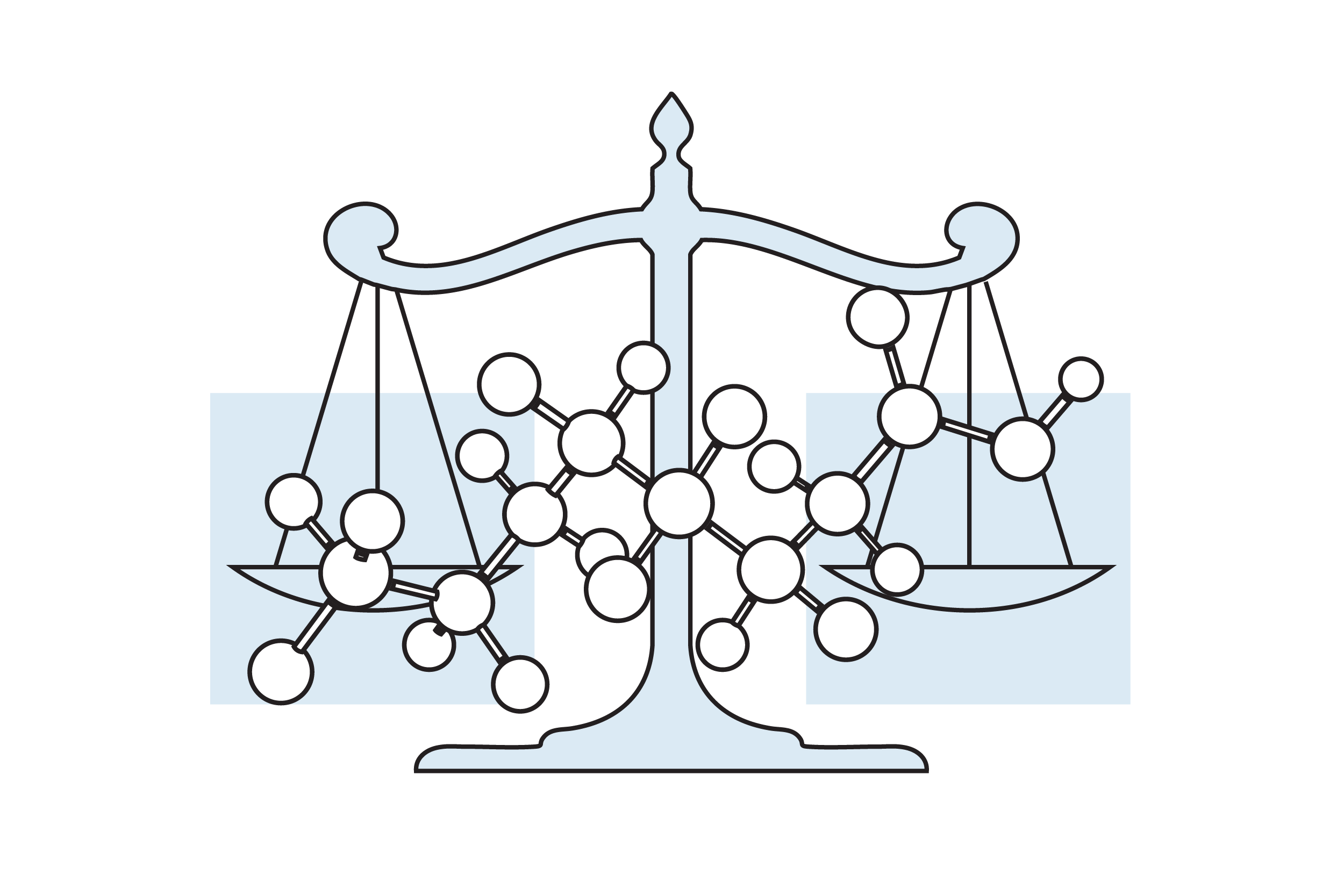 Litigation support