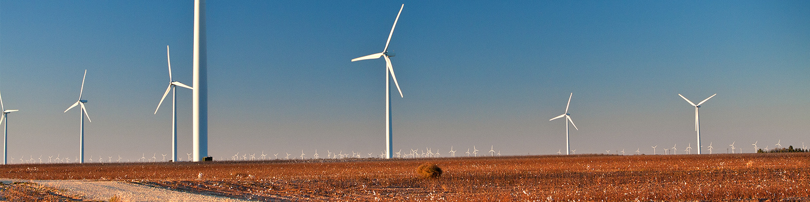 hero-image Landscape view of a wind farm in Texas.