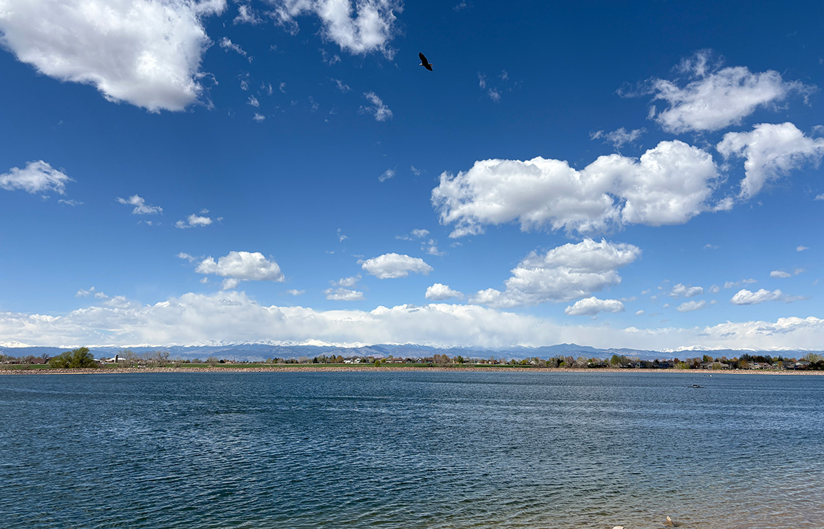 Eagle flying over lake in a blue sky with clouds and mountains in the distance.
