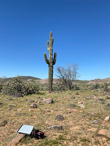 A field notebook and headset lying on the ground in the desert with a tall cactus and blue sky.