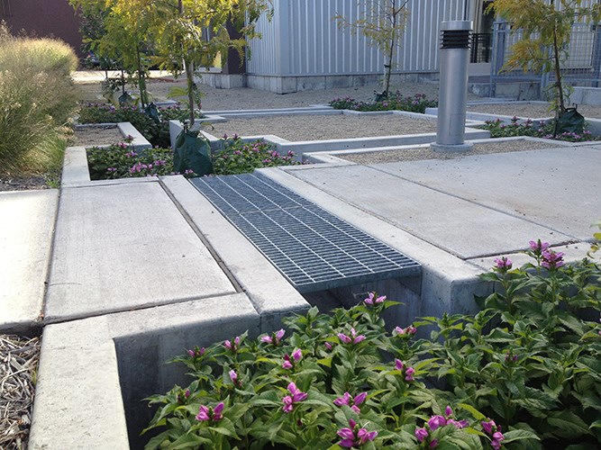 Recent project