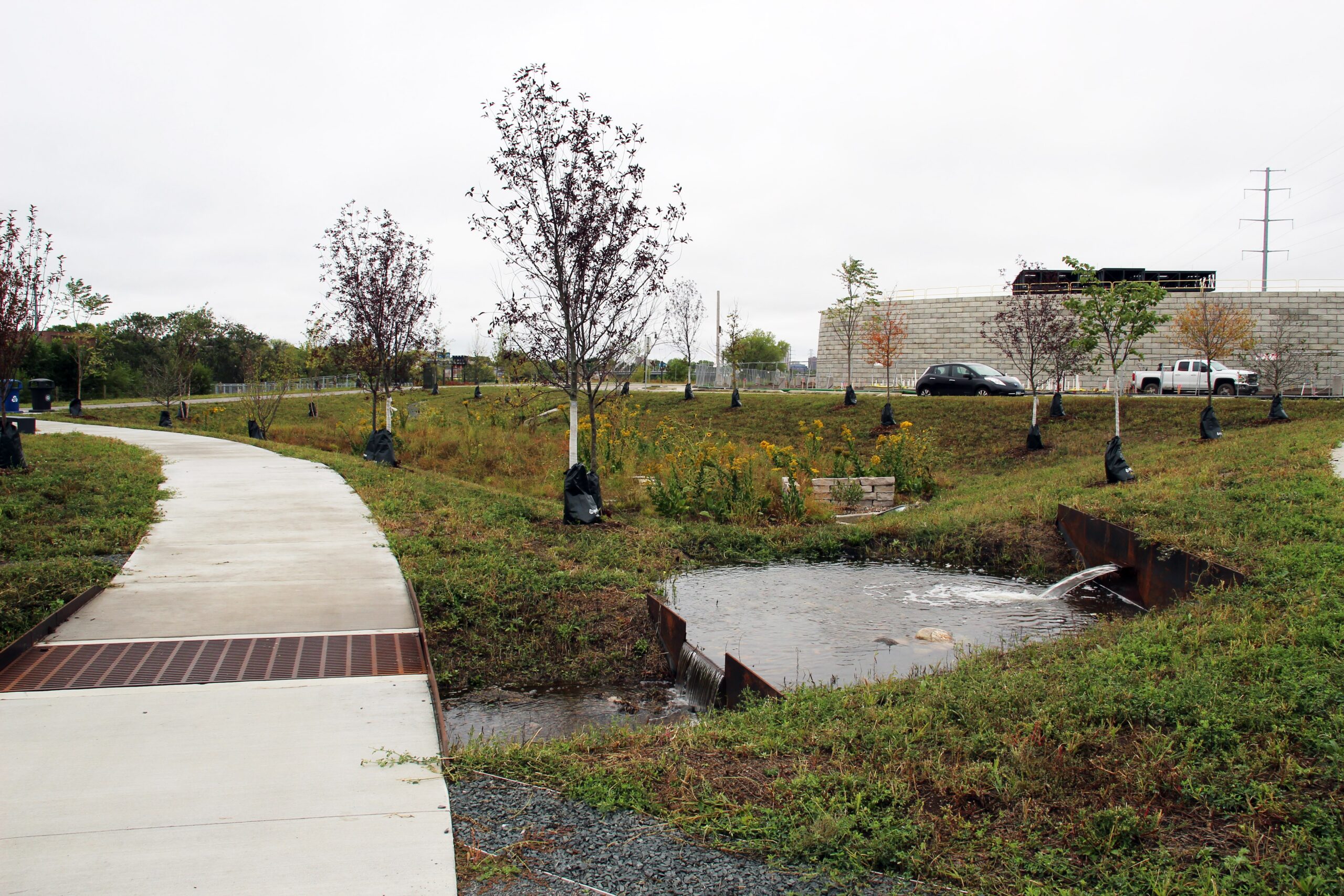 Curving pedestrian path and stormwater pond within a landscaped green space featuring young trees and native vegetation.
