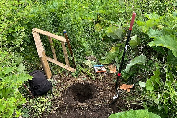 Soil pit with field tools set in dense green foliage.