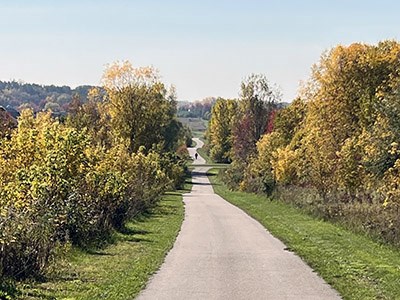 Lilydale Regional Park stormwater management and slope stabilization