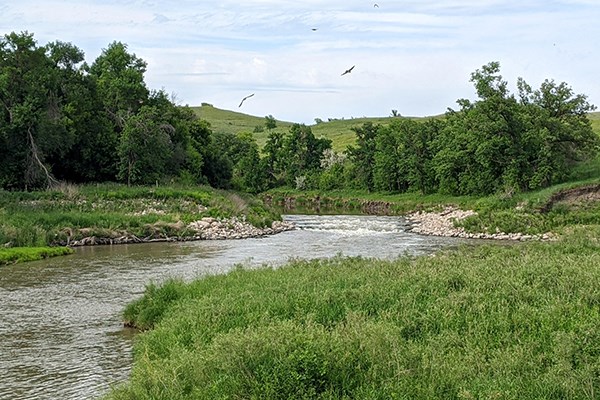 Low-head dam replacement with rock-arch rapids